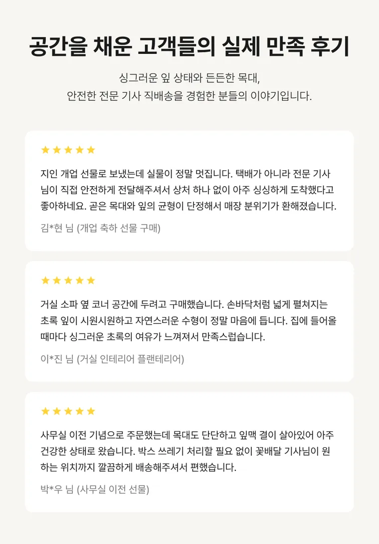 파키라 A — 상품 상세