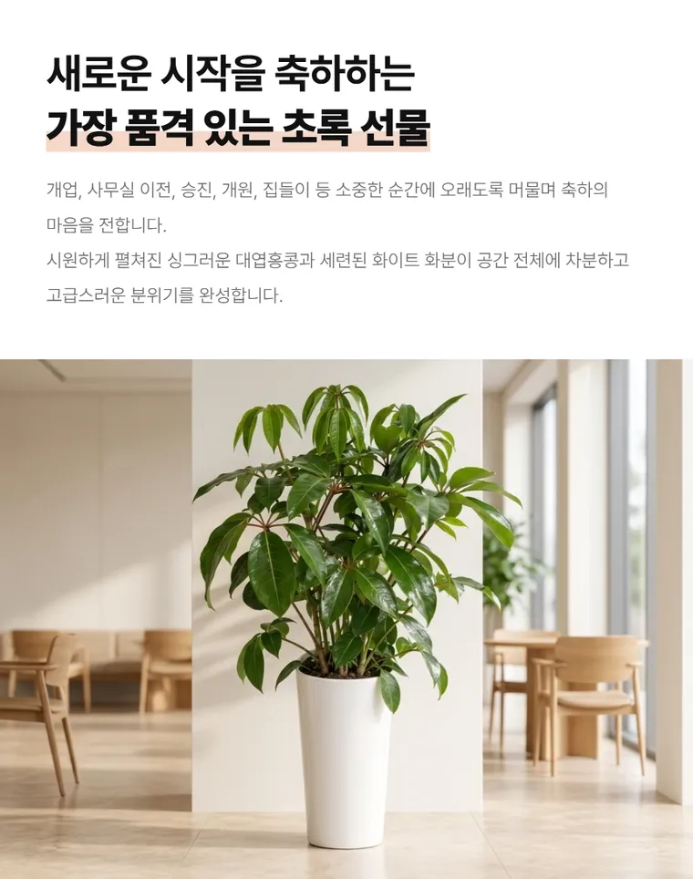 Umbrella Tree — Detail images