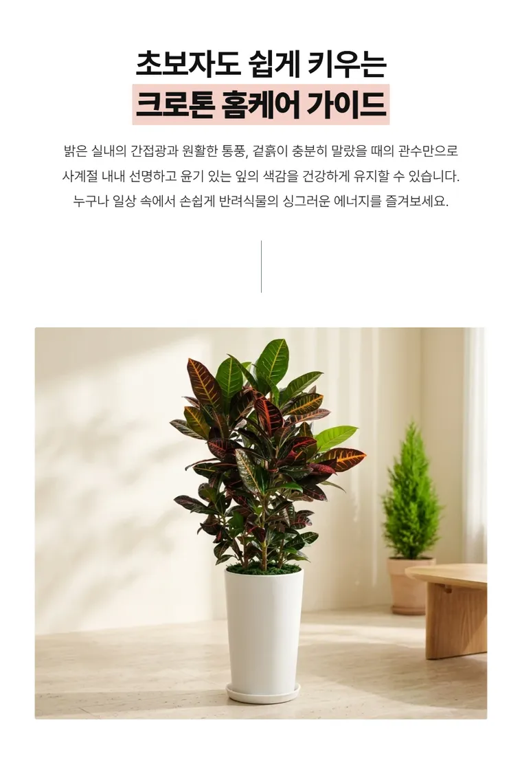 Croton B — Detail images