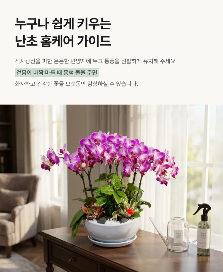 라벤더 볼 — 상품 상세