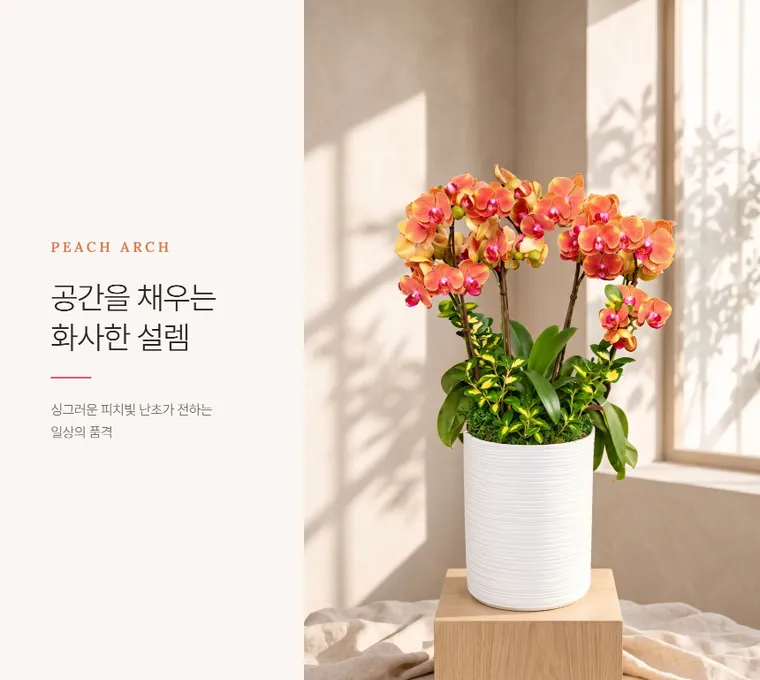 Peach Arch — Detail images