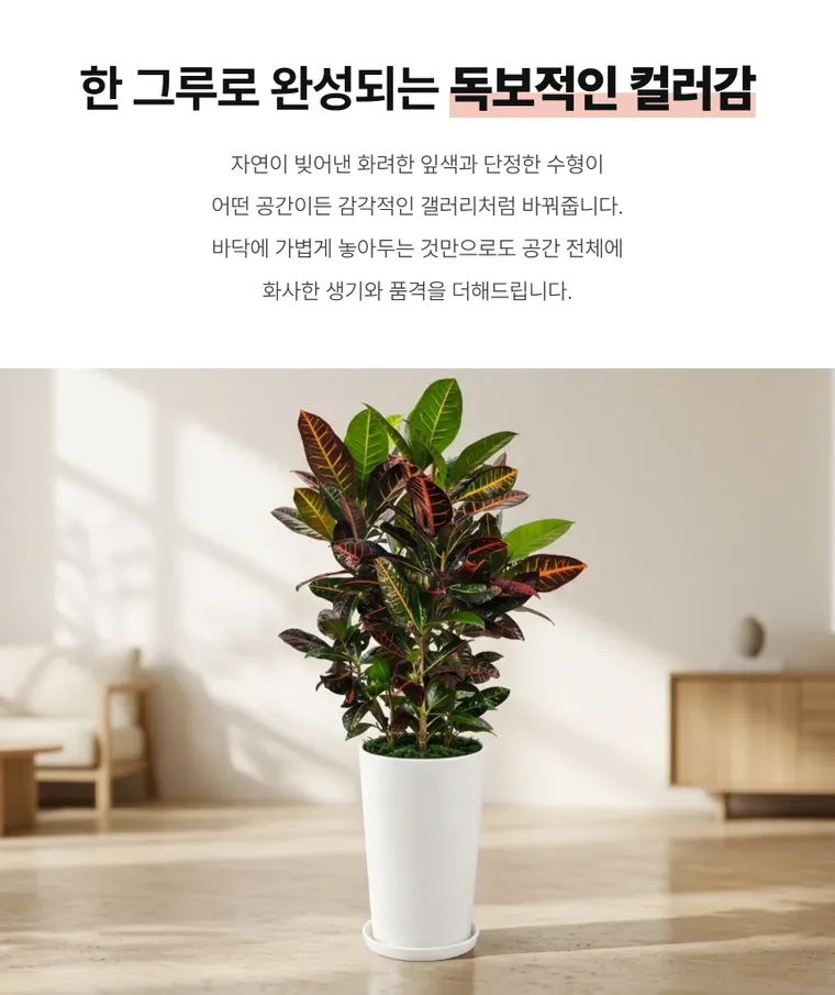 Croton B — Detail images