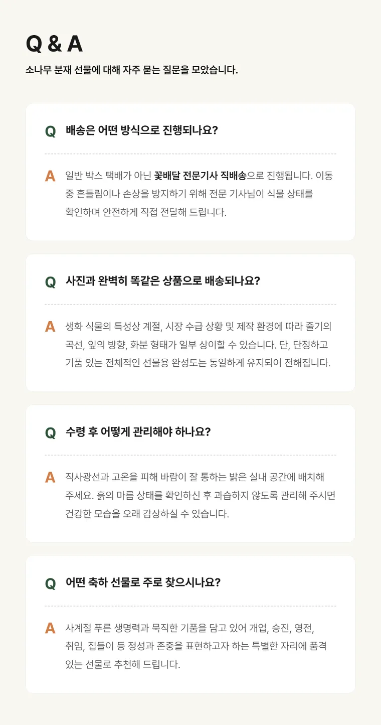 소나무분재 C — 상품 상세