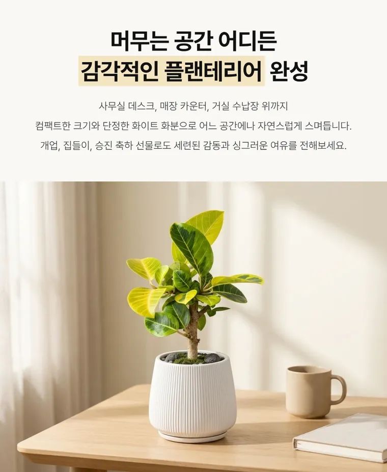 뱅갈고무나무 T — 상품 상세