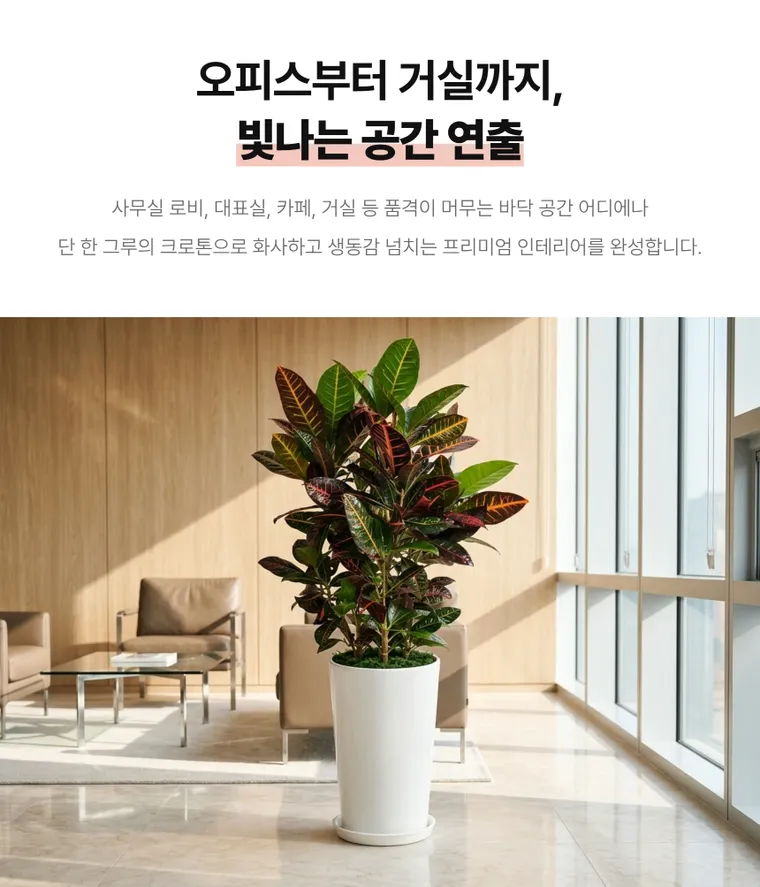 Croton B — Detail images