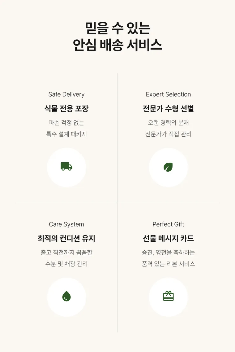 소나무분재 B — 상품 상세