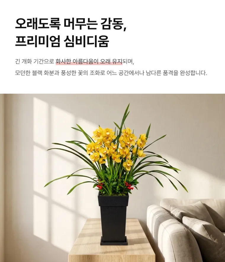 Lan Cymbidium — Hình chi tiết