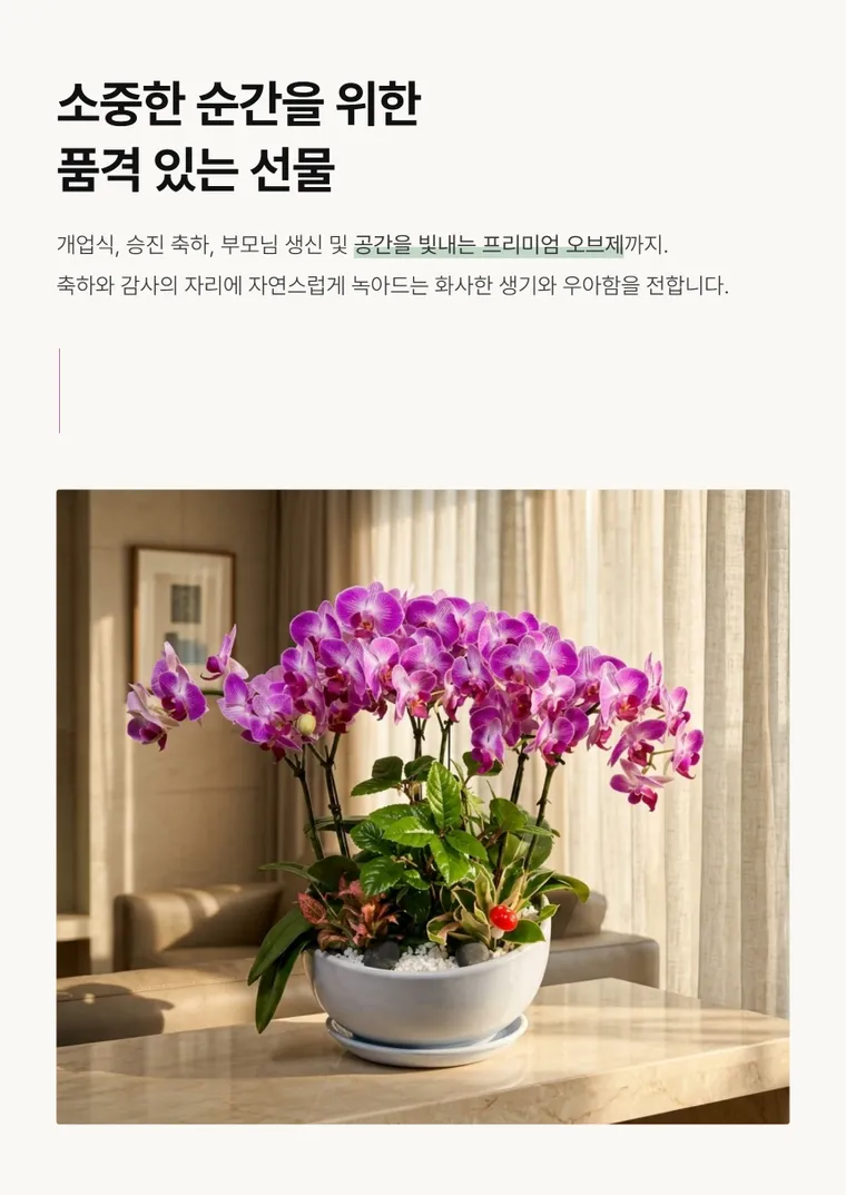 라벤더 볼 — 상품 상세