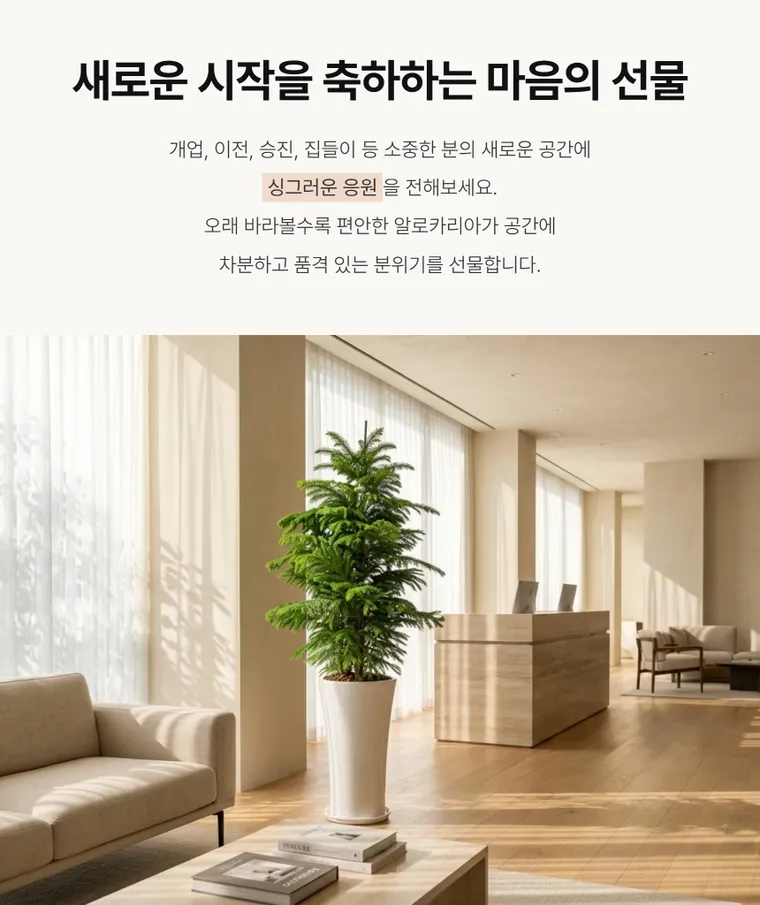 Cây tùng bách tán A — Hình chi tiết