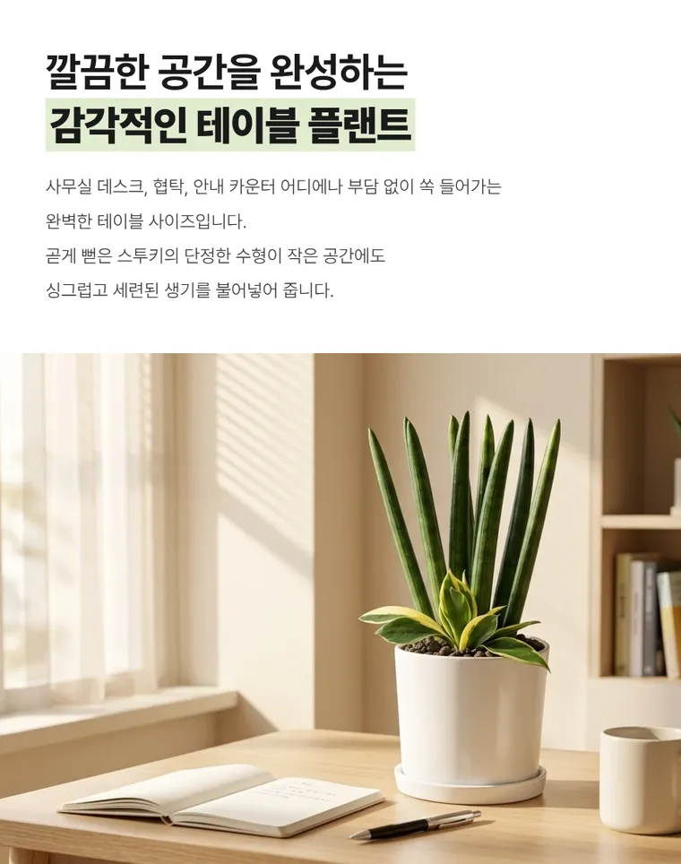 Cylindrical Snake Plant T — Detail images