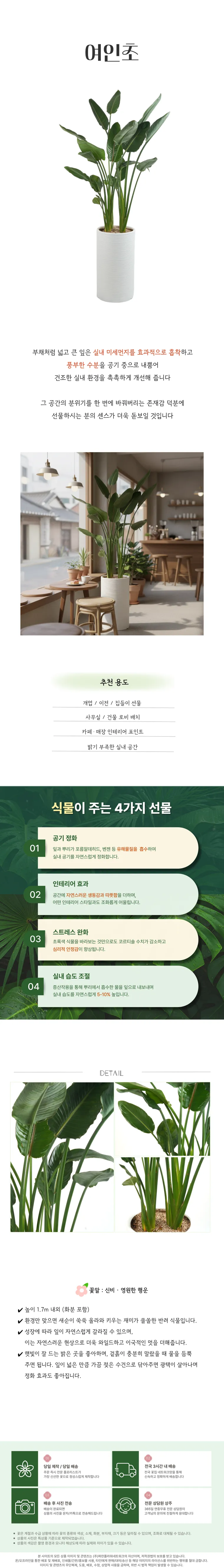 여인초 — 상품 상세