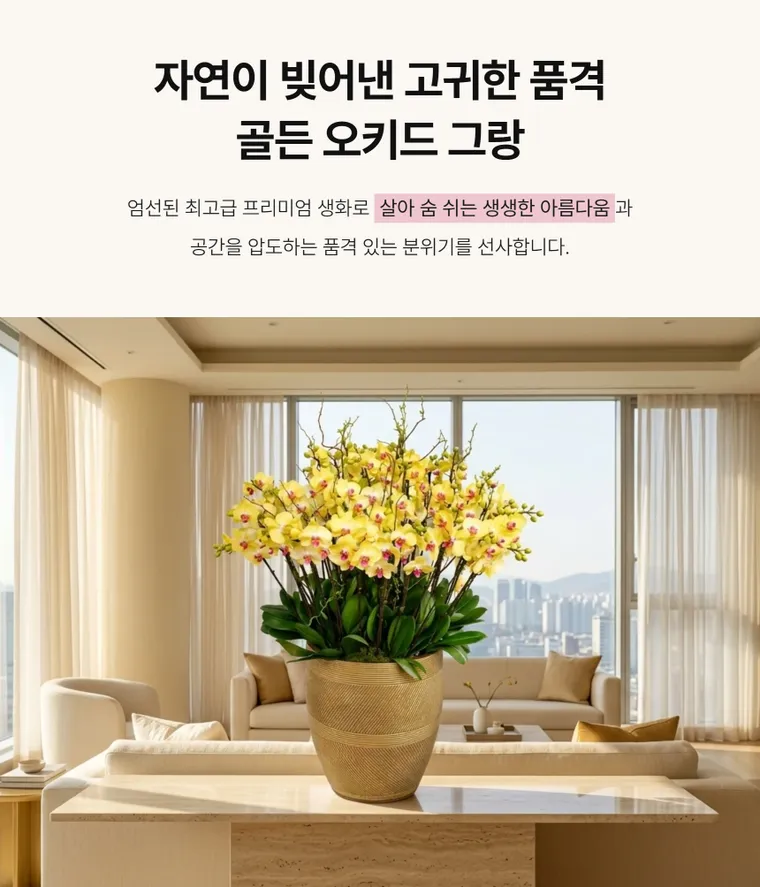 골든 오키드 그랑 — 상품 상세