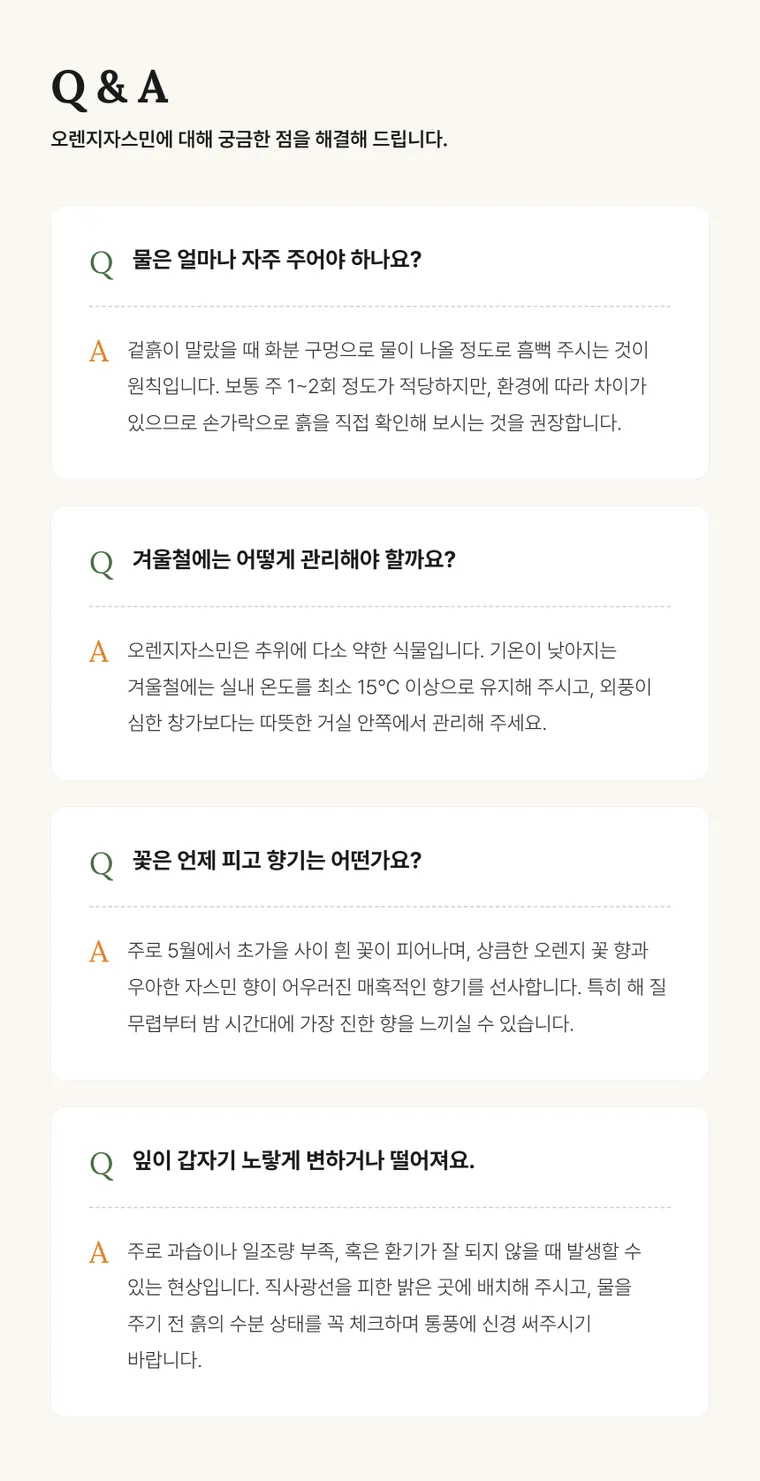 오렌지 자스민 — 상품 상세