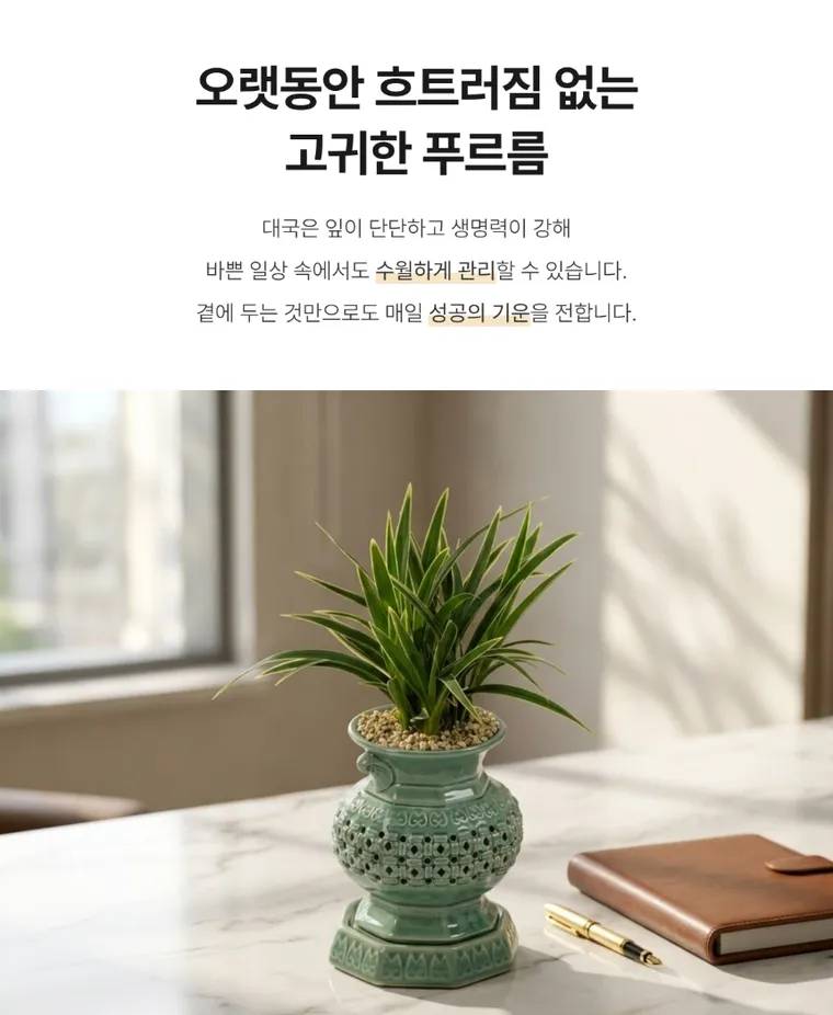 대국(미니투각분) — 상품 상세