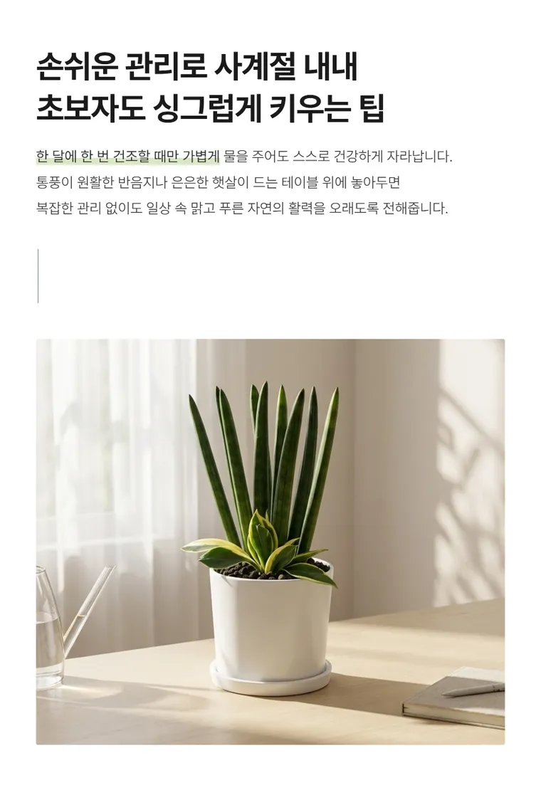 Cylindrical Snake Plant T — Detail images