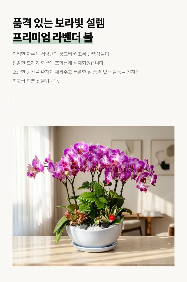 라벤더 볼 — 상품 상세