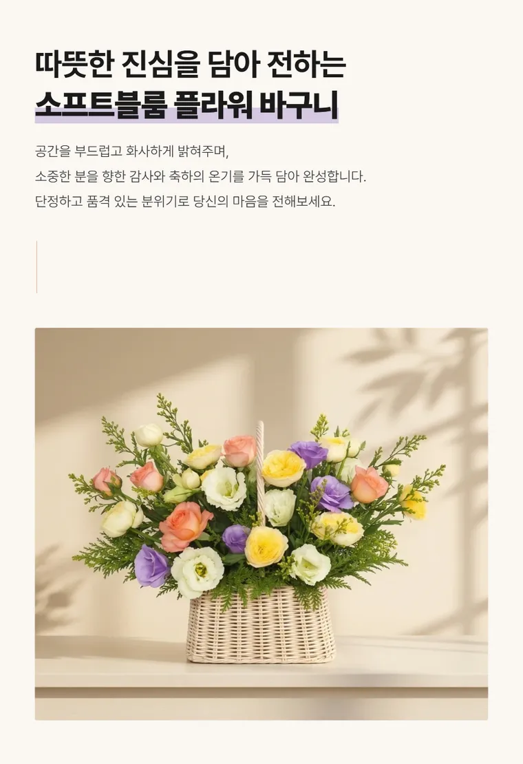 소프트블룸 — 상품 상세