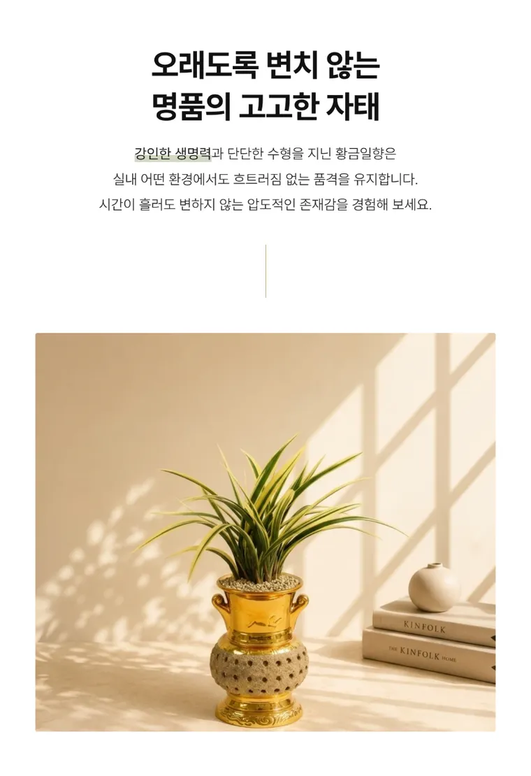 황금일향(금투각분) — 상품 상세