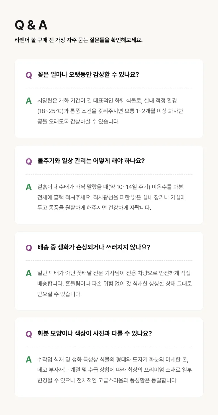 라벤더 볼 — 상품 상세