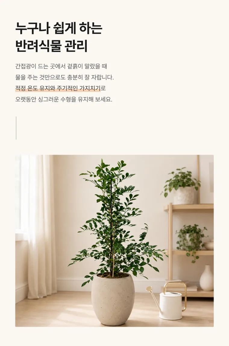 오렌지 자스민 — 상품 상세