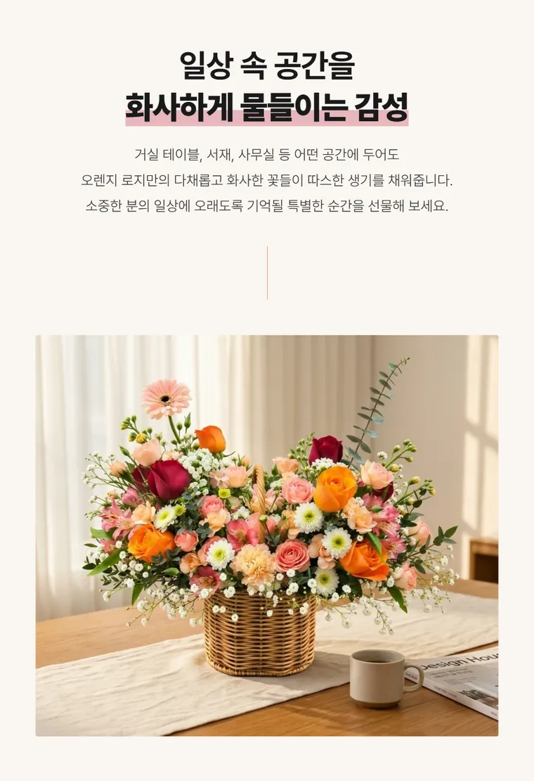오렌지로지 — 상품 상세