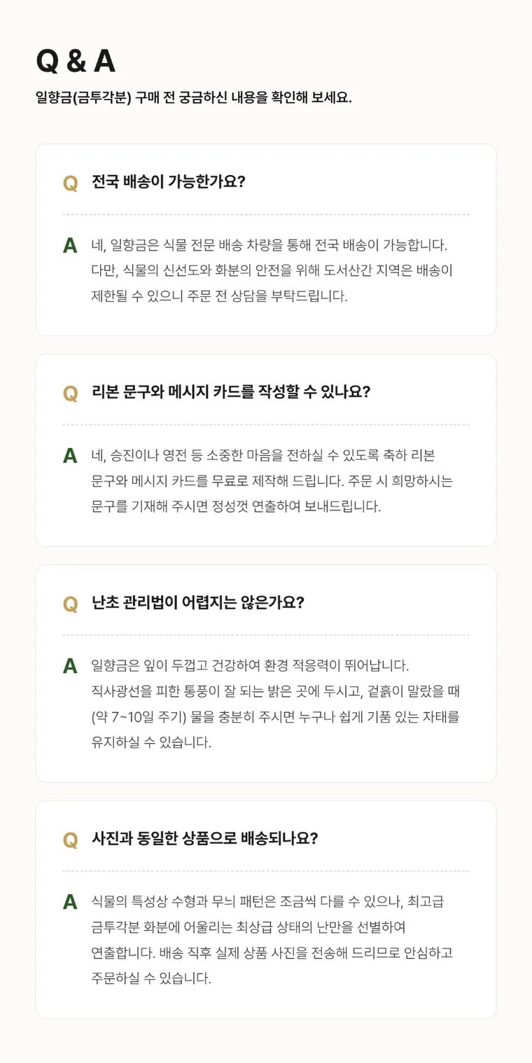 일향금(금투각분) — 상품 상세