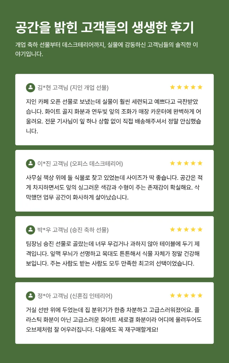 뱅갈고무나무 T — 상품 상세