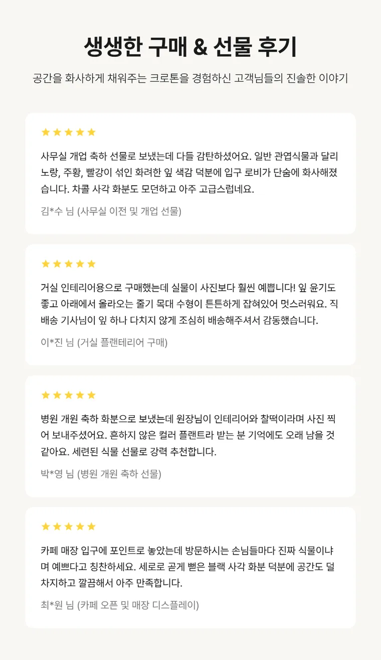 크로톤 A — 상품 상세