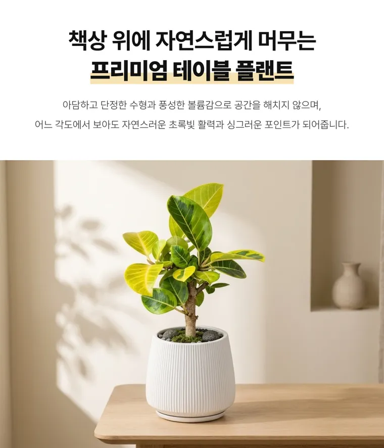 뱅갈고무나무 T — 상품 상세