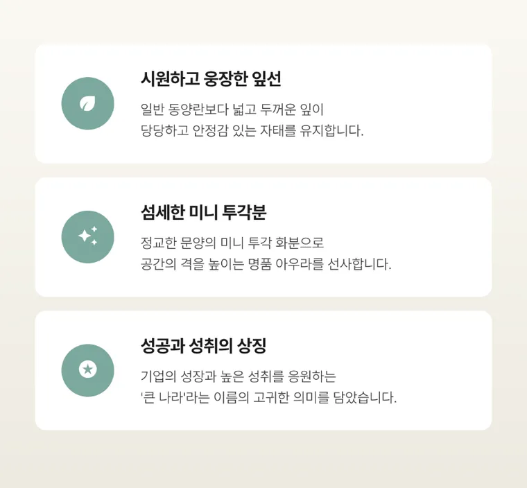 대국(미니투각분) — 상품 상세