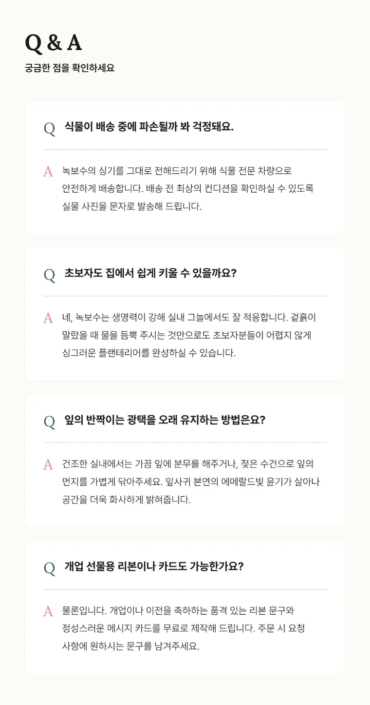 녹보수 C — 상품 상세