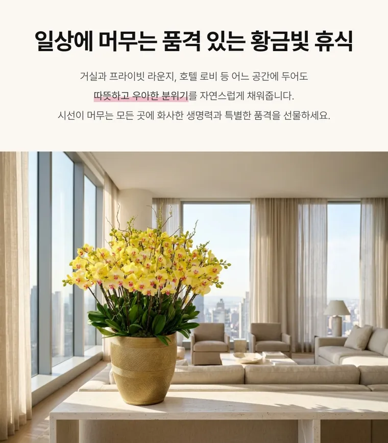 골든 오키드 그랑 — 상품 상세