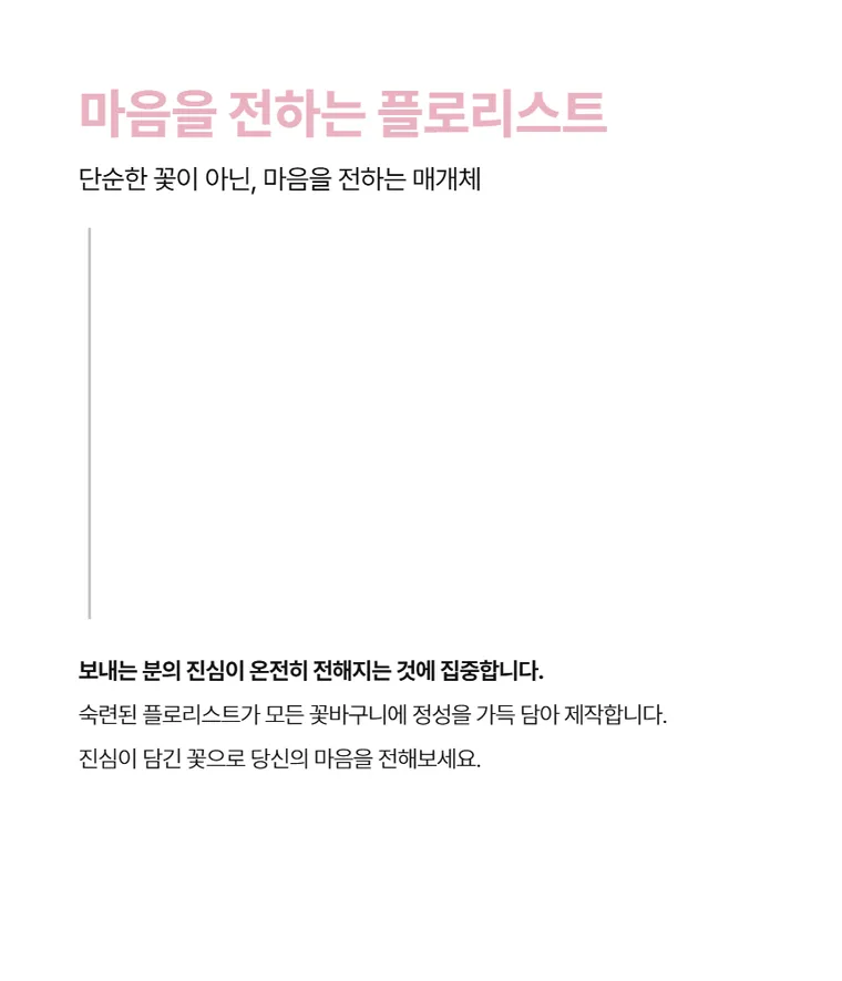 카네이션 B — 상품 상세