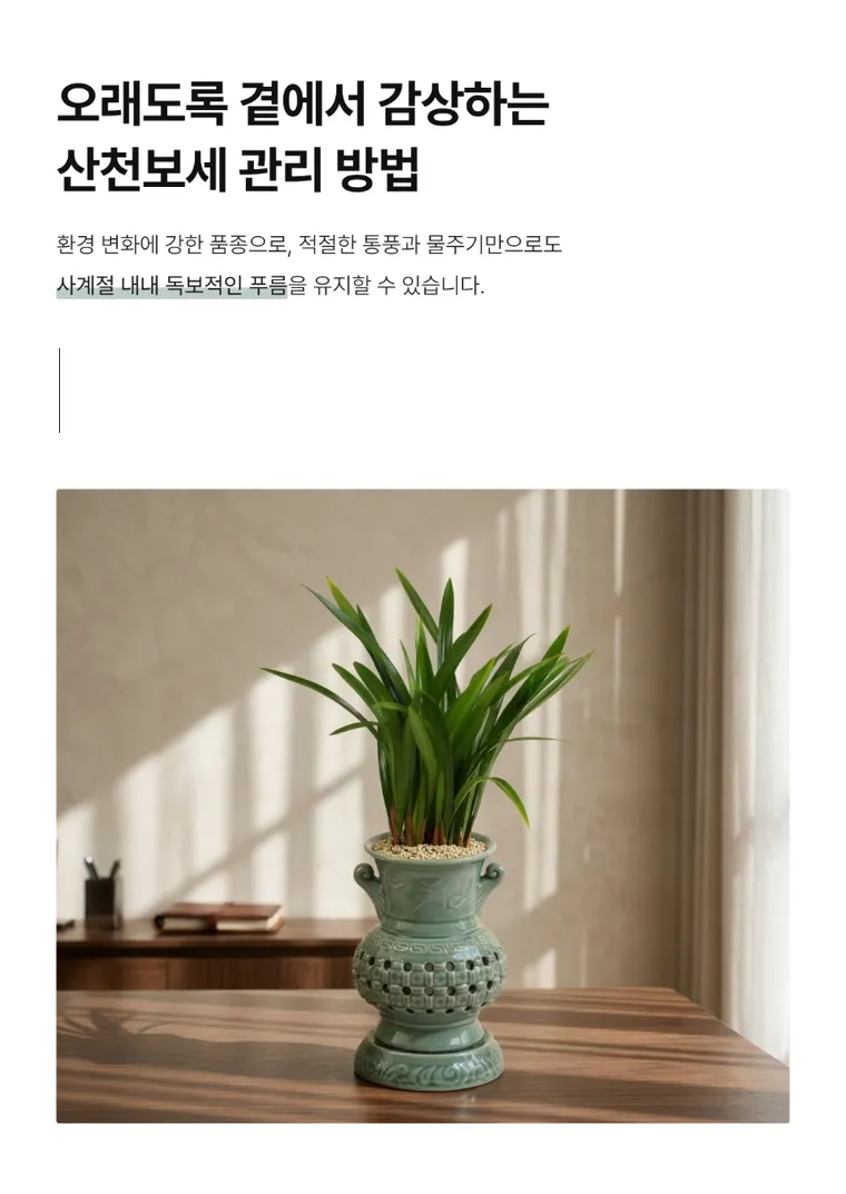 산천보세(투각분) — 상품 상세