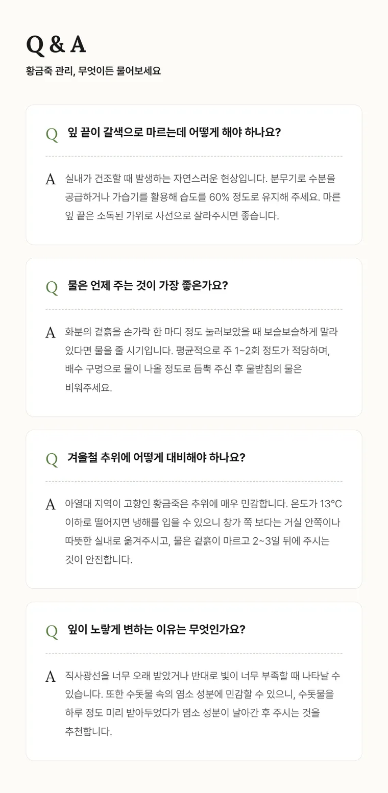 황금죽 A — 상품 상세