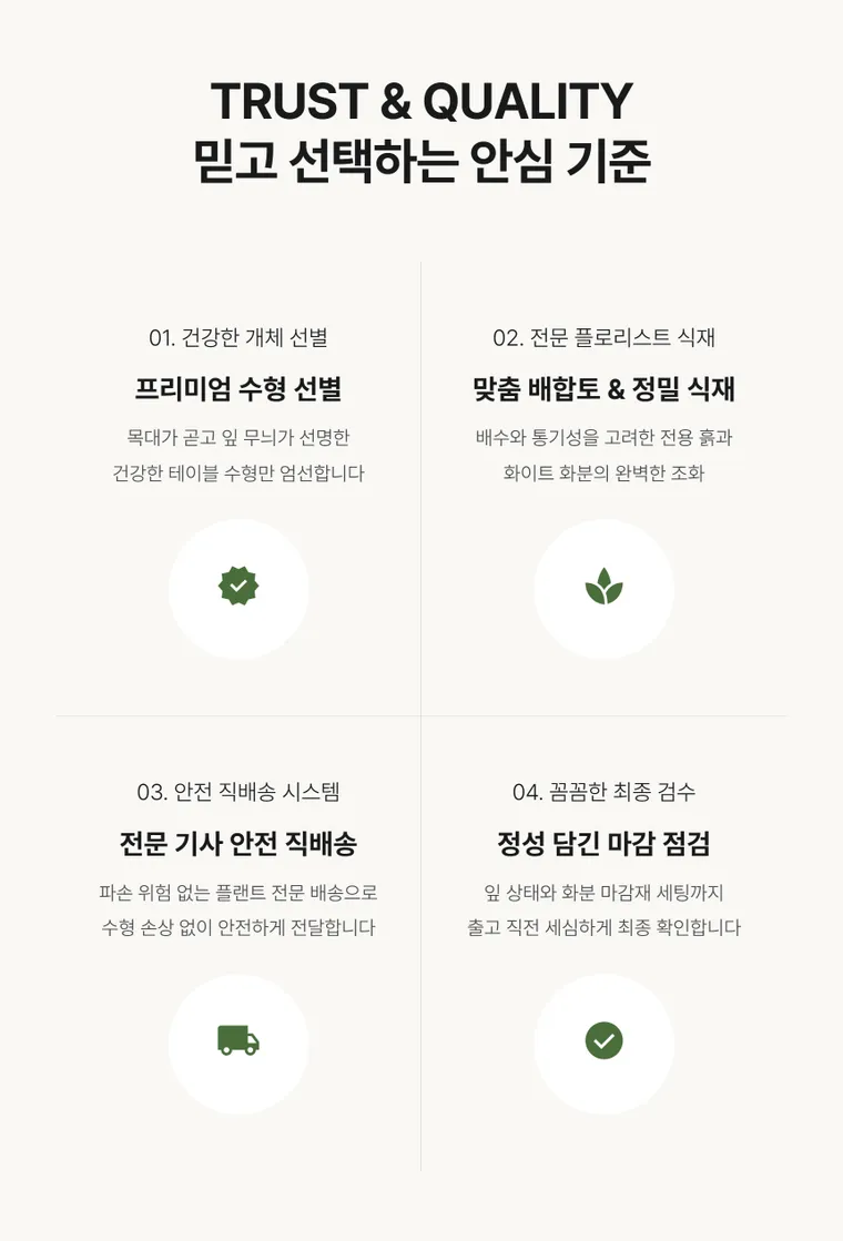 뱅갈고무나무 T — 상품 상세