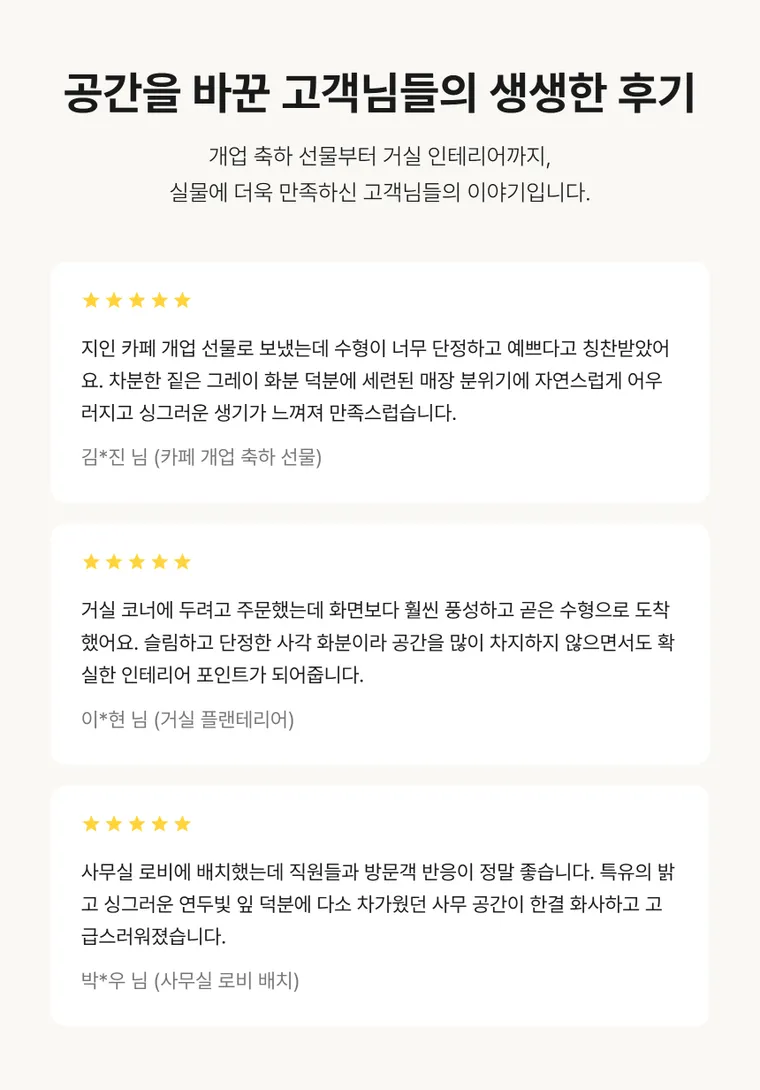 율마 — 상품 상세