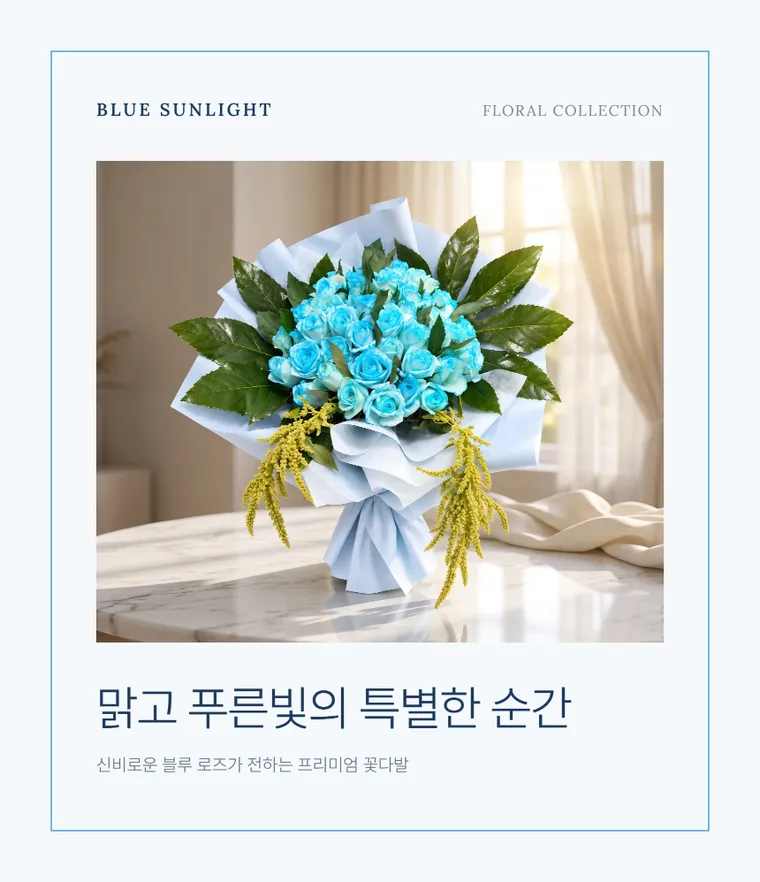 블루 선라이트 — 상품 상세