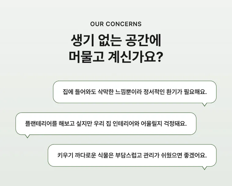 오렌지 자스민 — 상품 상세