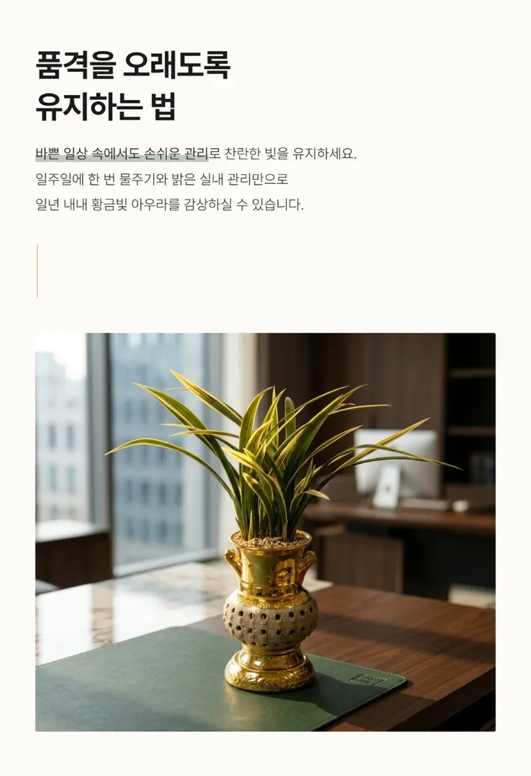 일향금(금투각분) — 상품 상세
