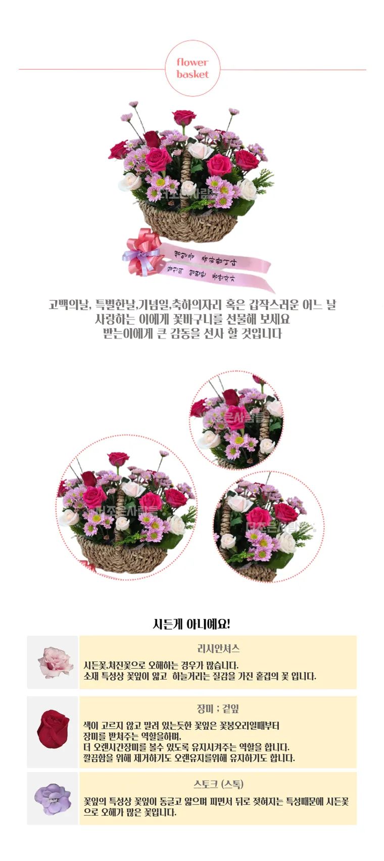 너를 담아 봄 — 상품 상세