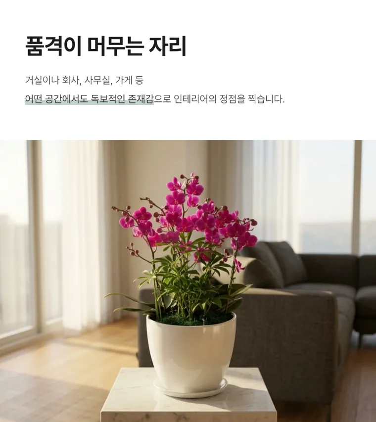 Mancheonhong C — Detail images