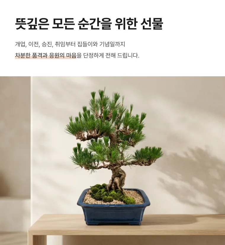 소나무분재 C — 상품 상세