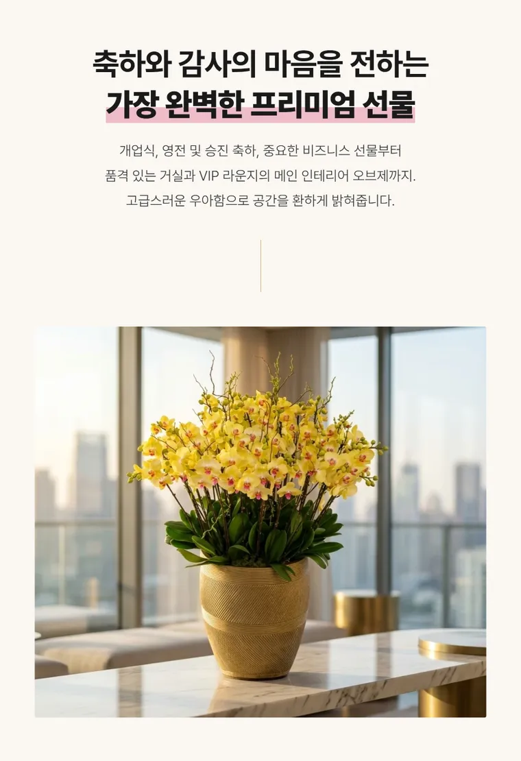 골든 오키드 그랑 — 상품 상세