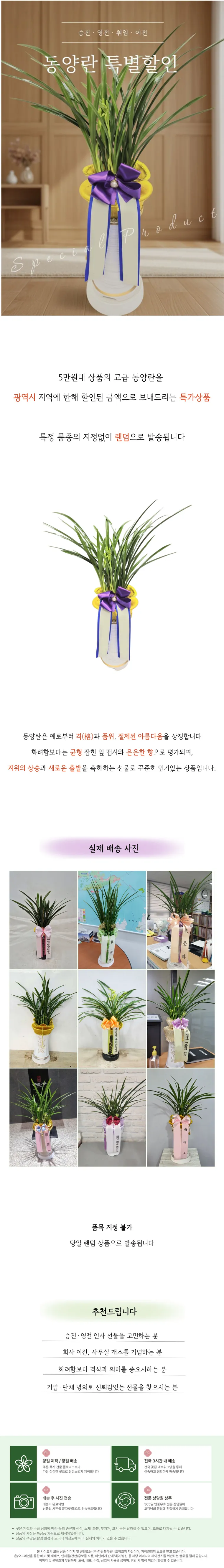 동양란(특가) — 상품 상세