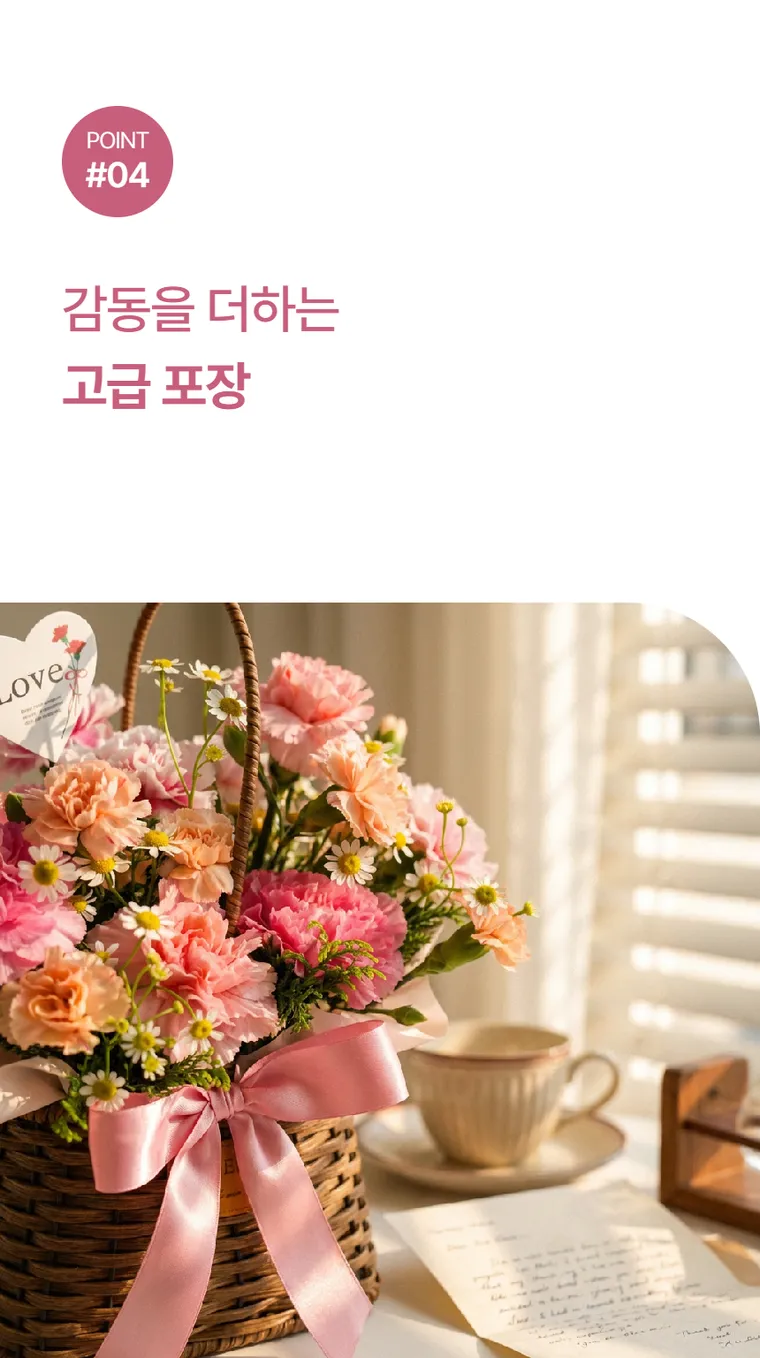 카네이션 B — 상품 상세