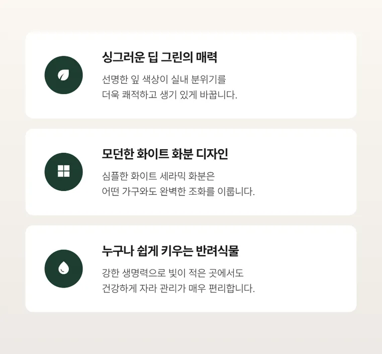 Compacta A — Hình chi tiết