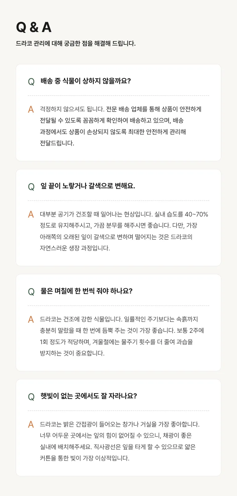 龙血树 B — 详情图
