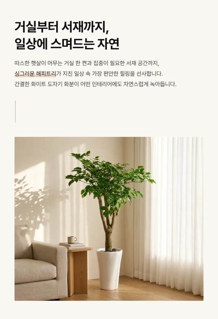 Cây hạnh phúc A — Hình chi tiết