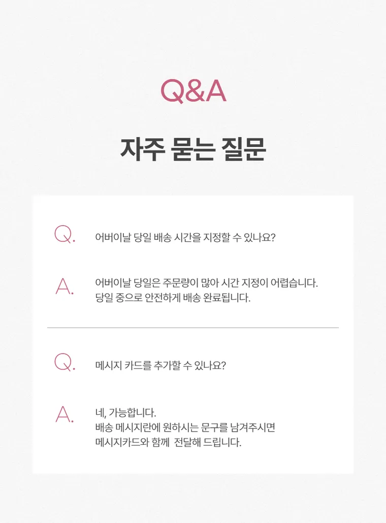 카네이션 B — 상품 상세